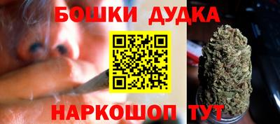 спайс Тара