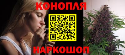 шишки Татарск