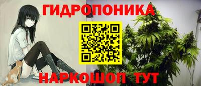 шишки Татарск